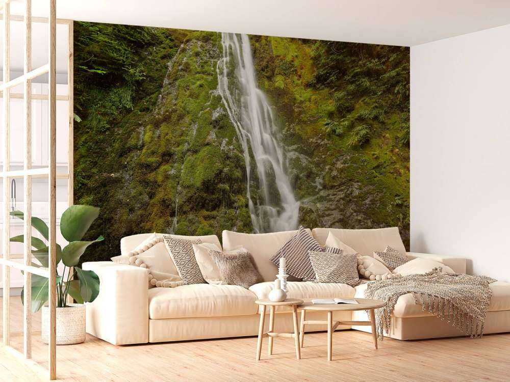 Cascata con un bellissimo verde 