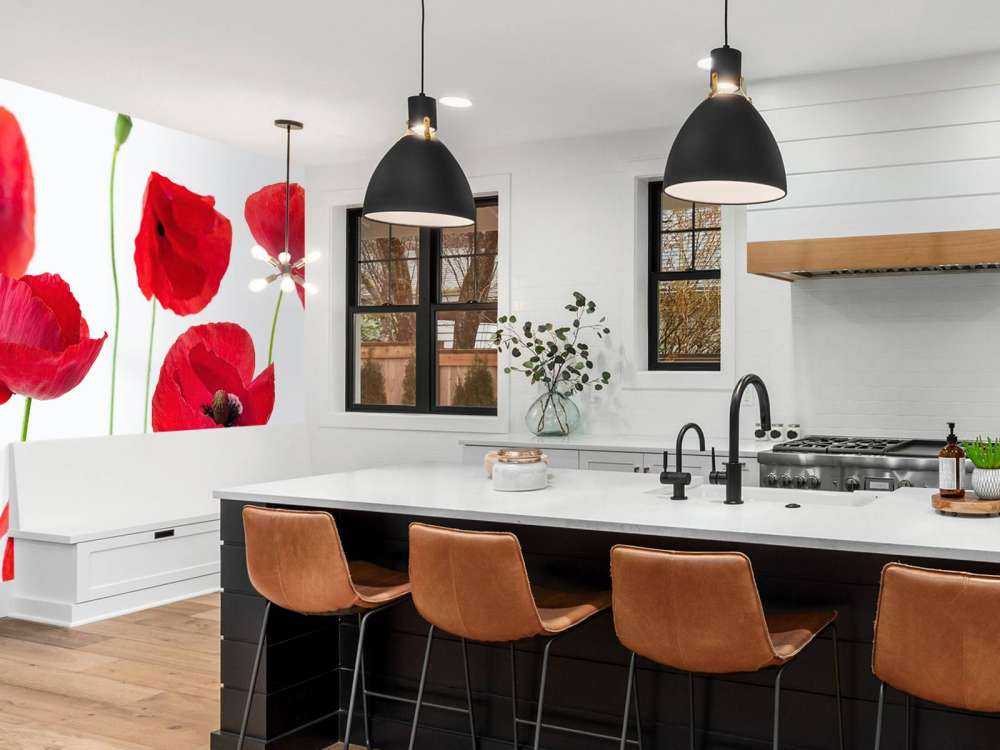 Papaveri su sfondo bianco