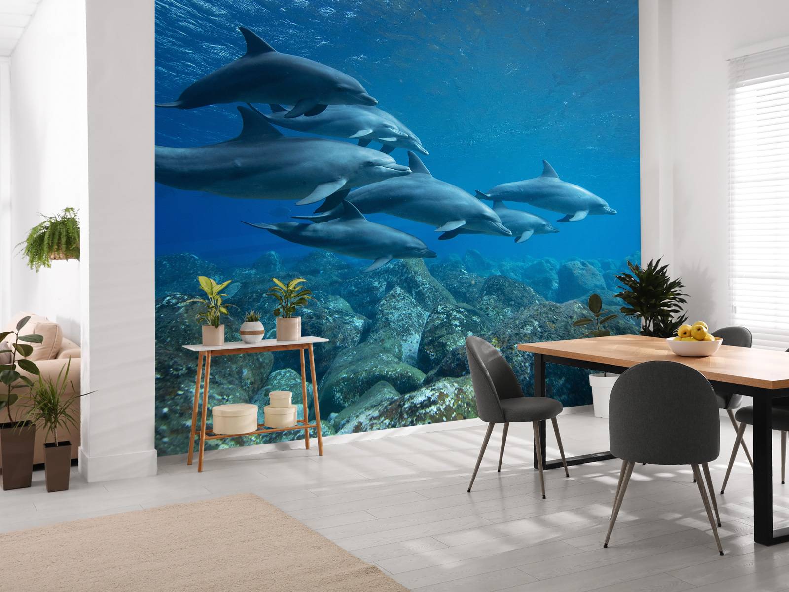 Delfini e rocce, image size:1600x1200