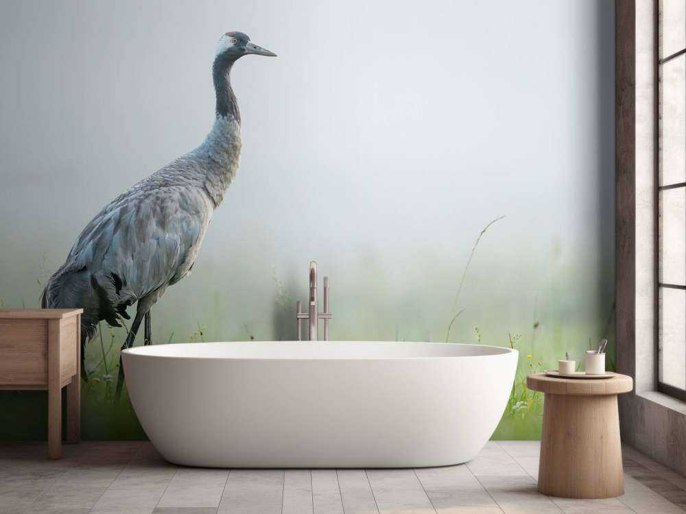 Gru nella nebbia del mattino