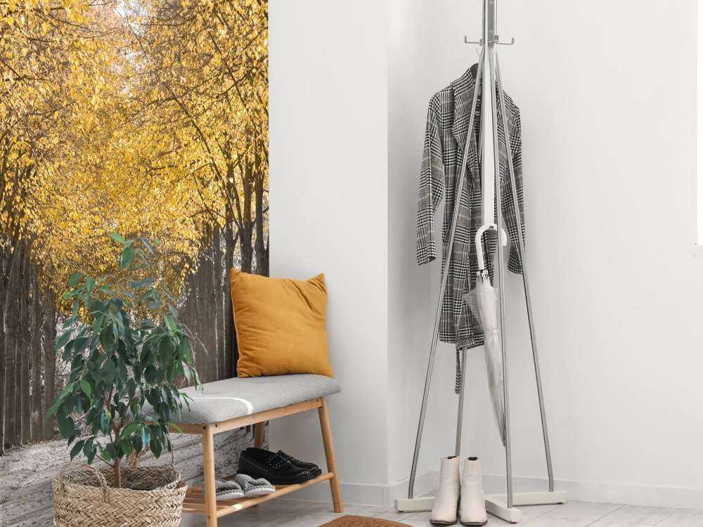 Sentiero tra gli alberi