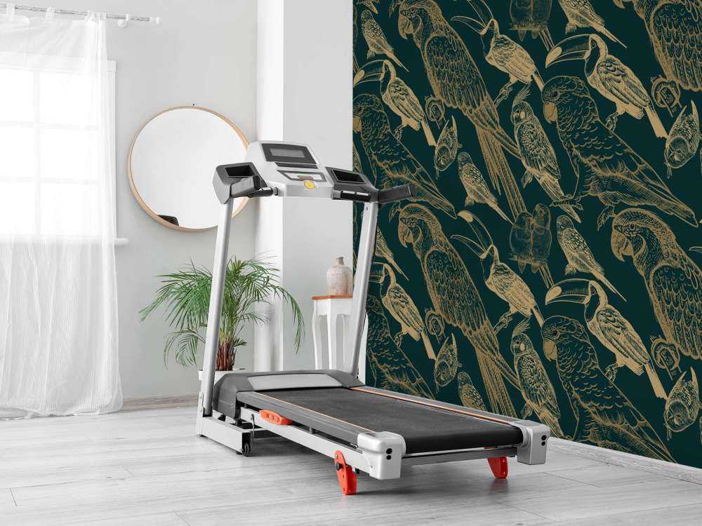 Pappagallo e modello Toucan