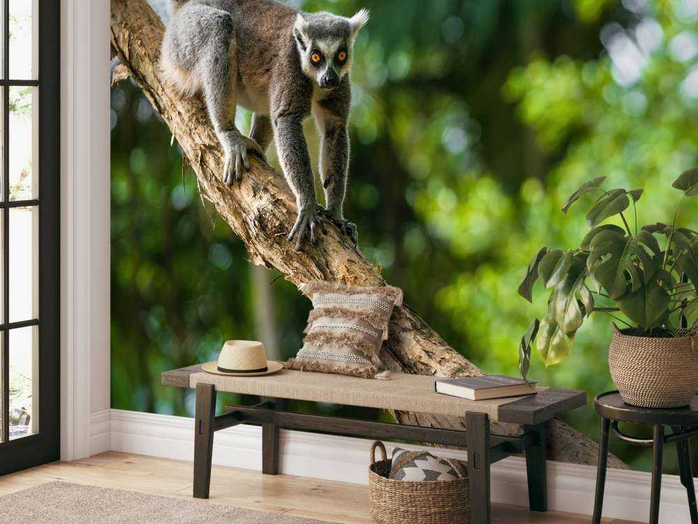 Scimmia dalla coda ad anelli su un albero