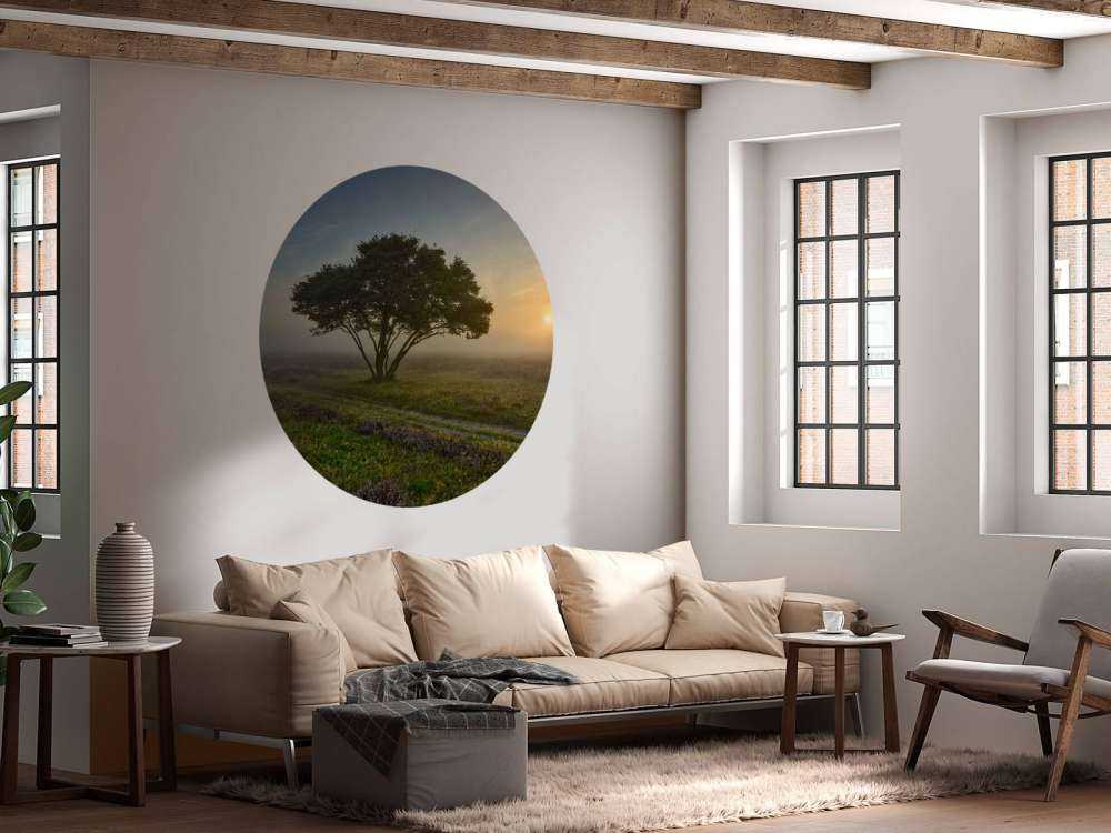 Alba sulla brughiera