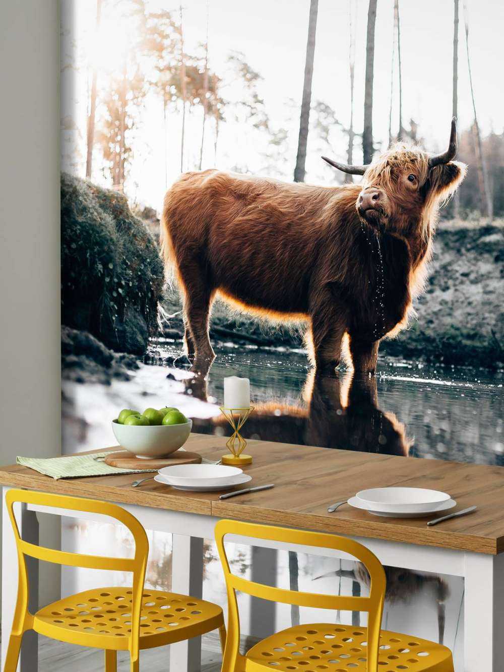 Highlander scozzese in acqua