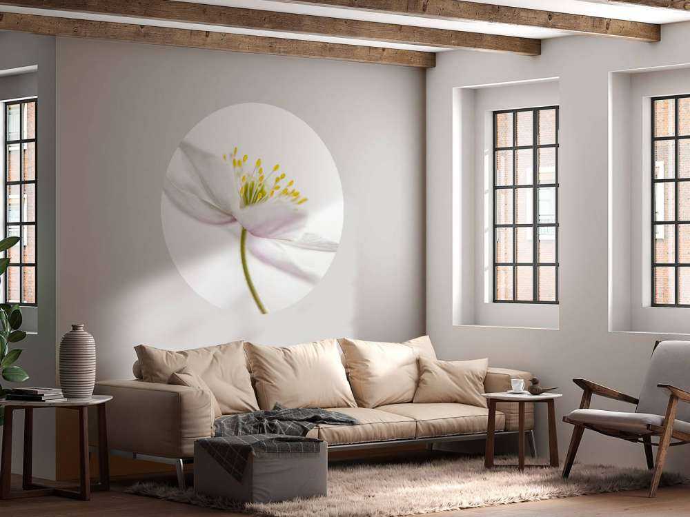 Beautiful Nemorosa**