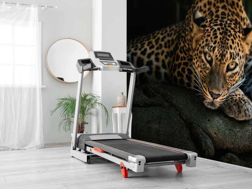 Pantera nella foresta