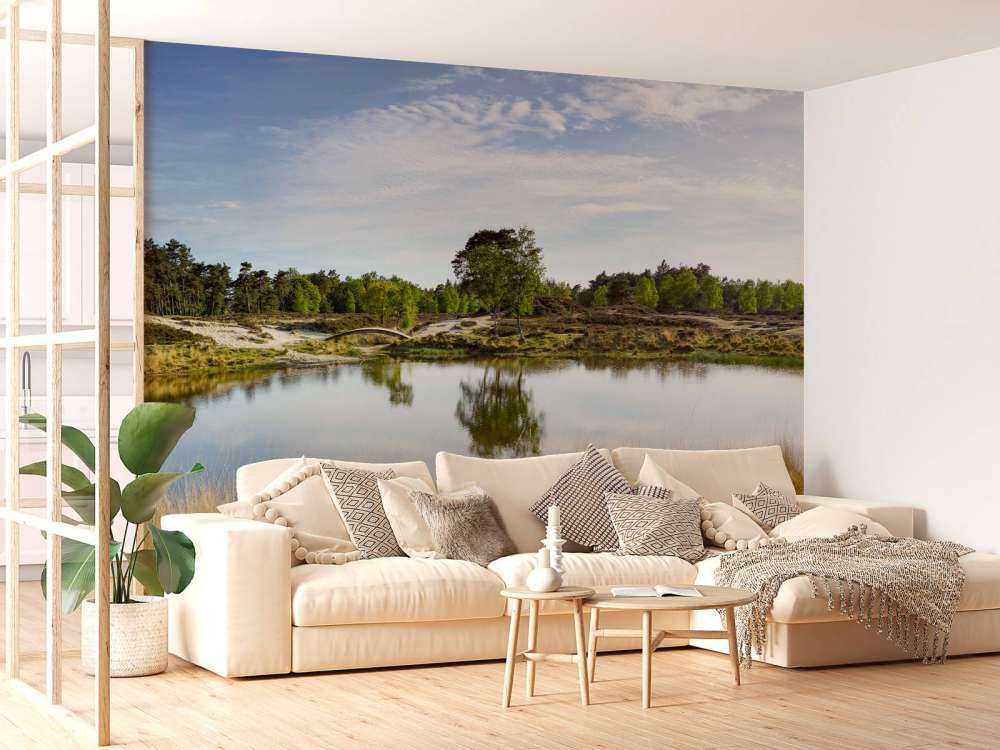 Un piccolo lago forestale nella zona brughiera 