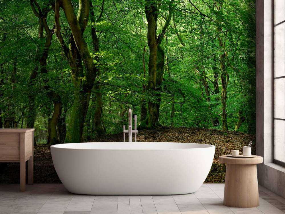 Alberi con foglie verdi 