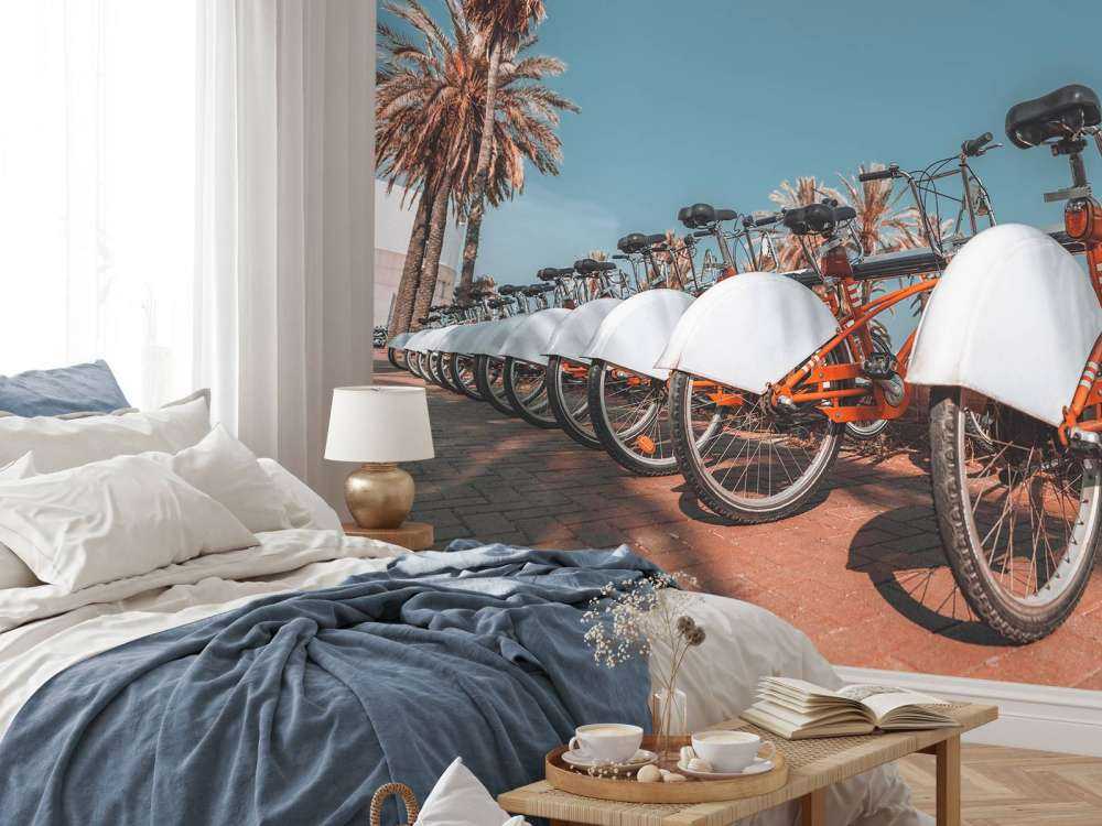 Noleggio di biciclette