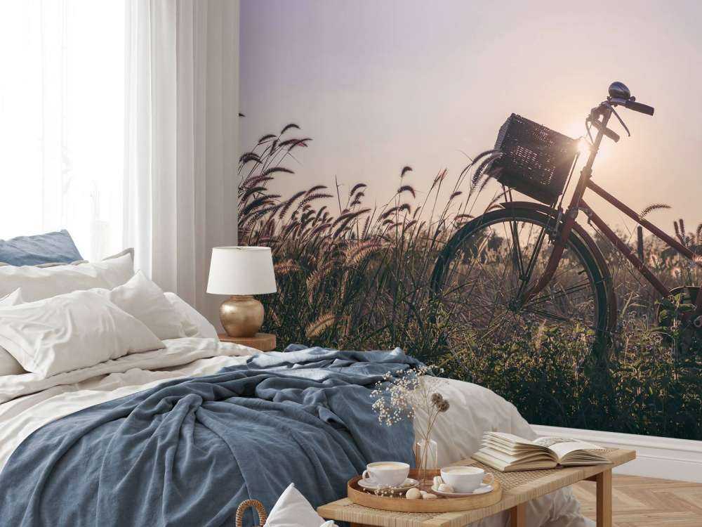 Bicicletta in un campo