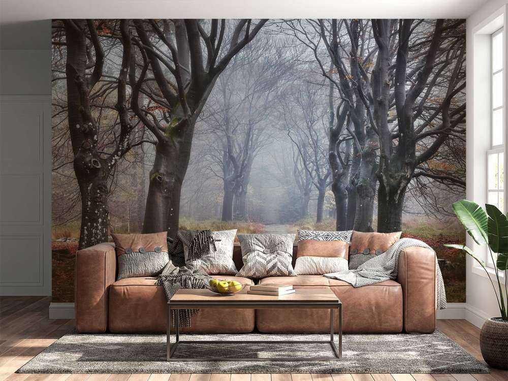 Alberi nella foresta