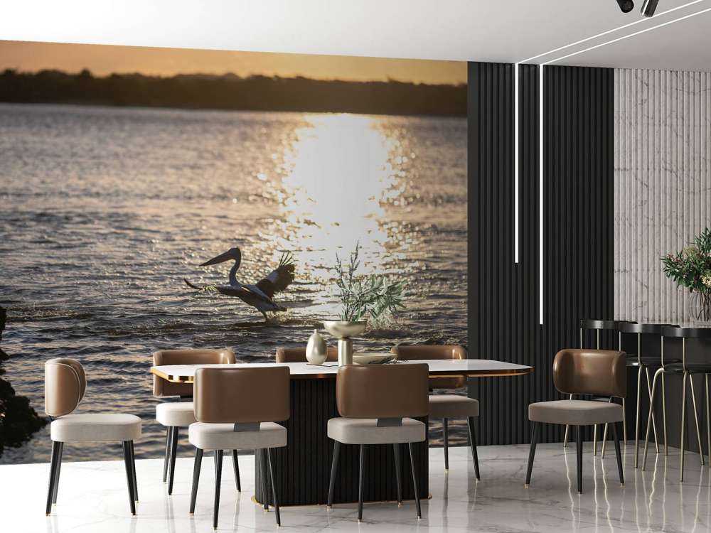 Pellicani al tramonto