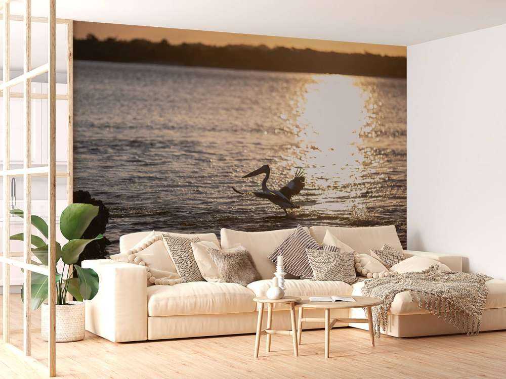 Pellicani al tramonto