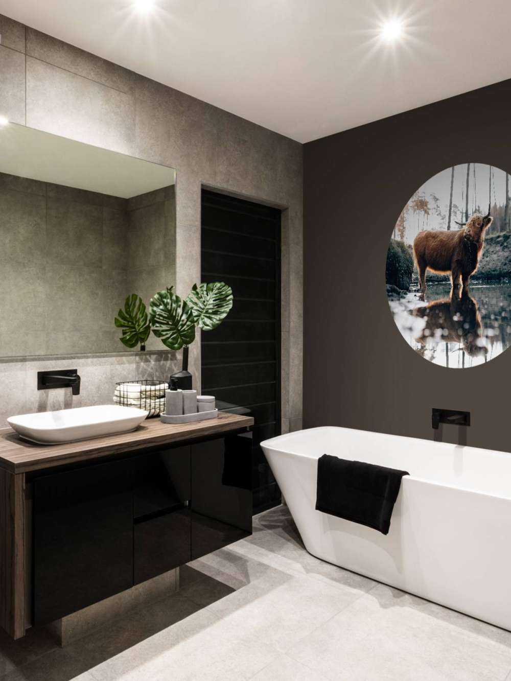 Highlander scozzese in acqua