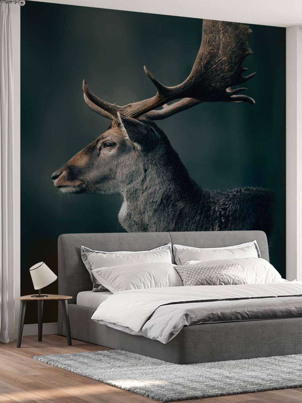 Cervo daino in primo piano