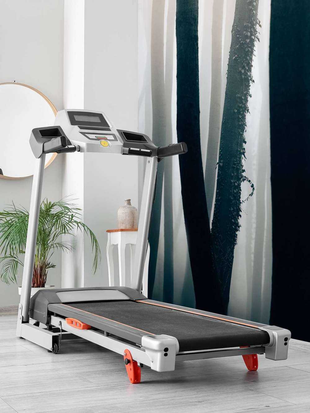 Nebbia nella foresta di faggio