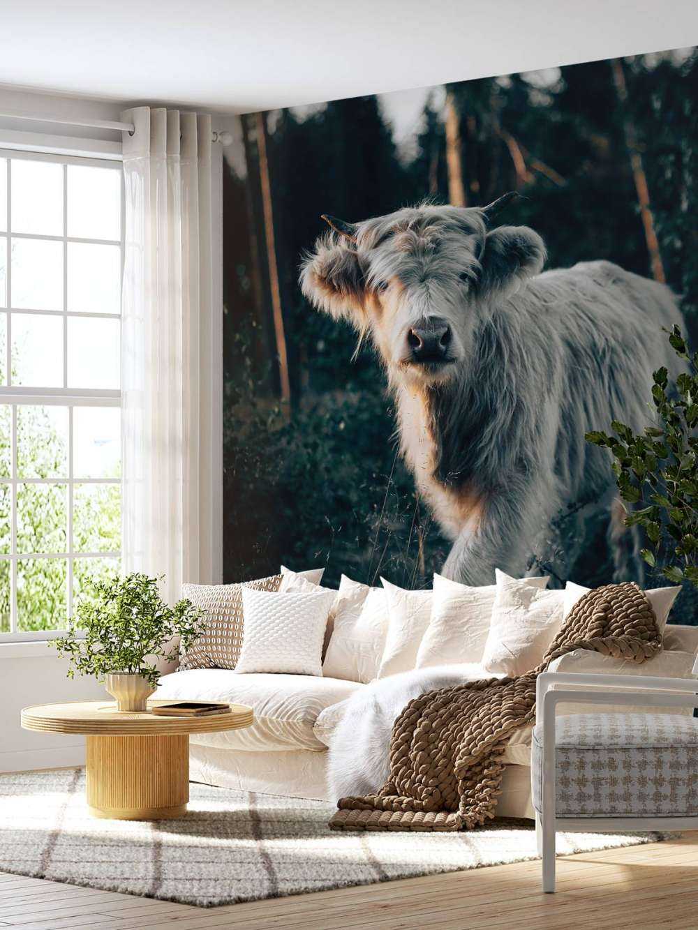 Cucciolo di Highlander scozzese