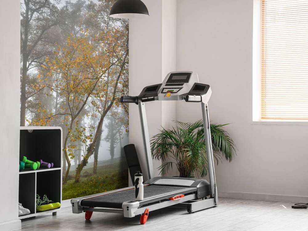 Campo di erba con alberi e nebbia