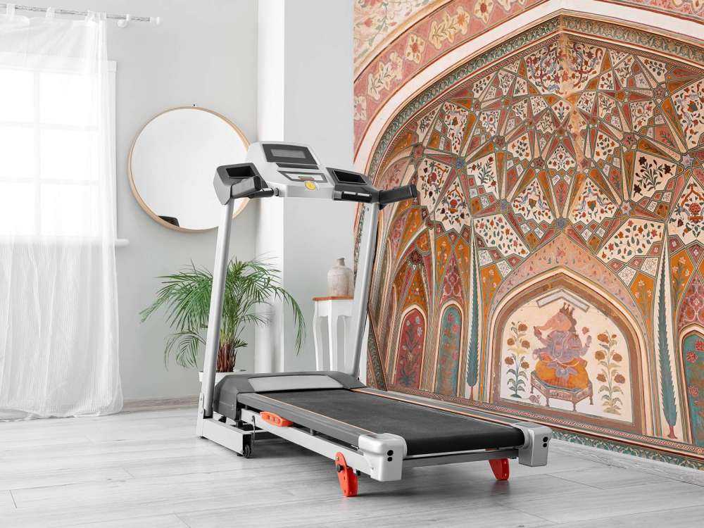 Arco indiano riccamente dipinto 