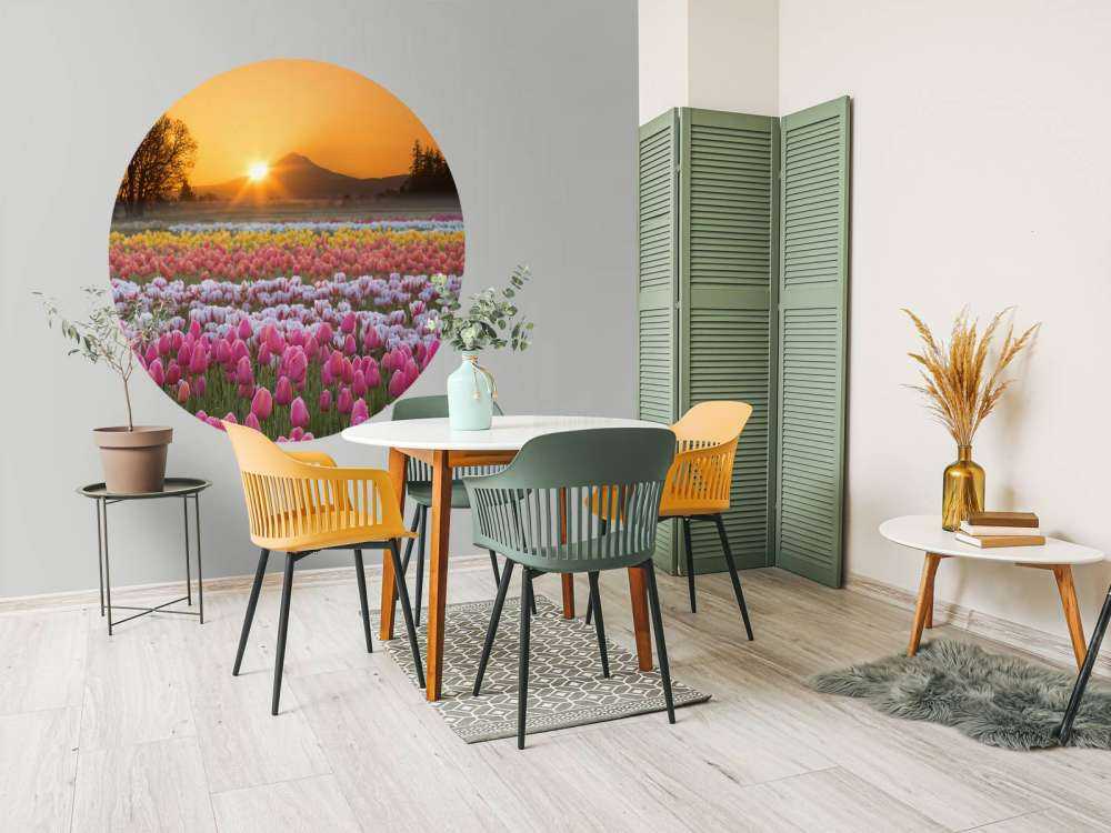 Campo di tulipani colorati