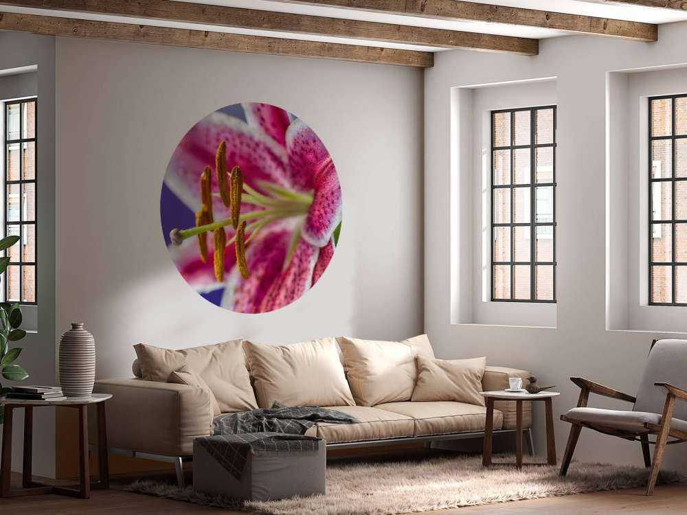 Fiore rosa ravvicinato