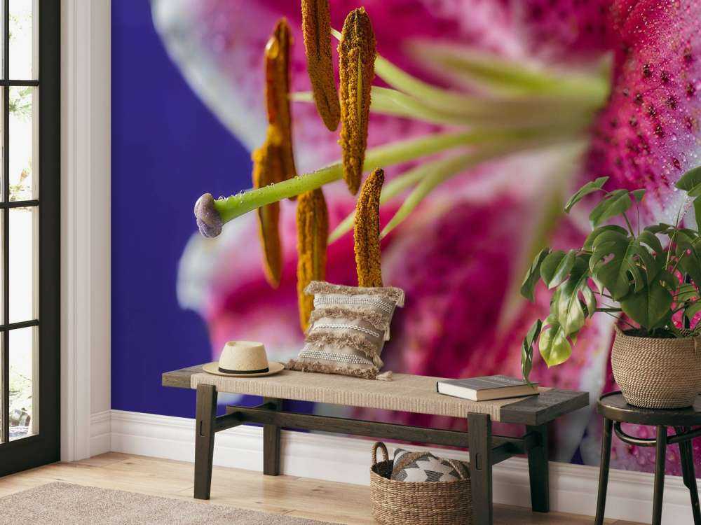 Fiore rosa ravvicinato