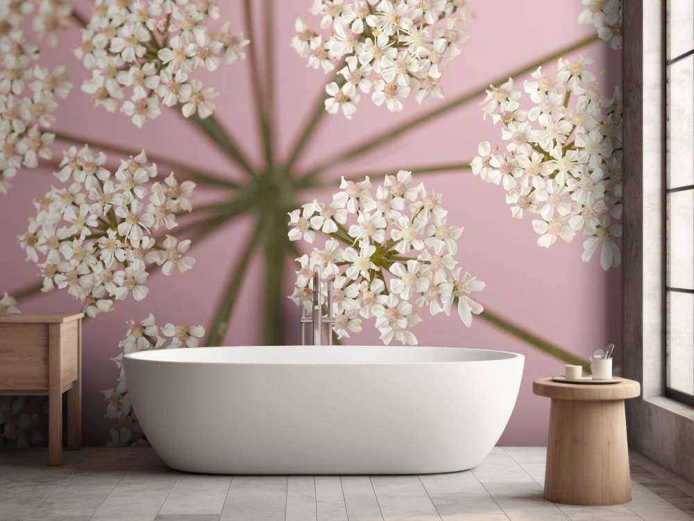 Prezzemolo della mucca bianca