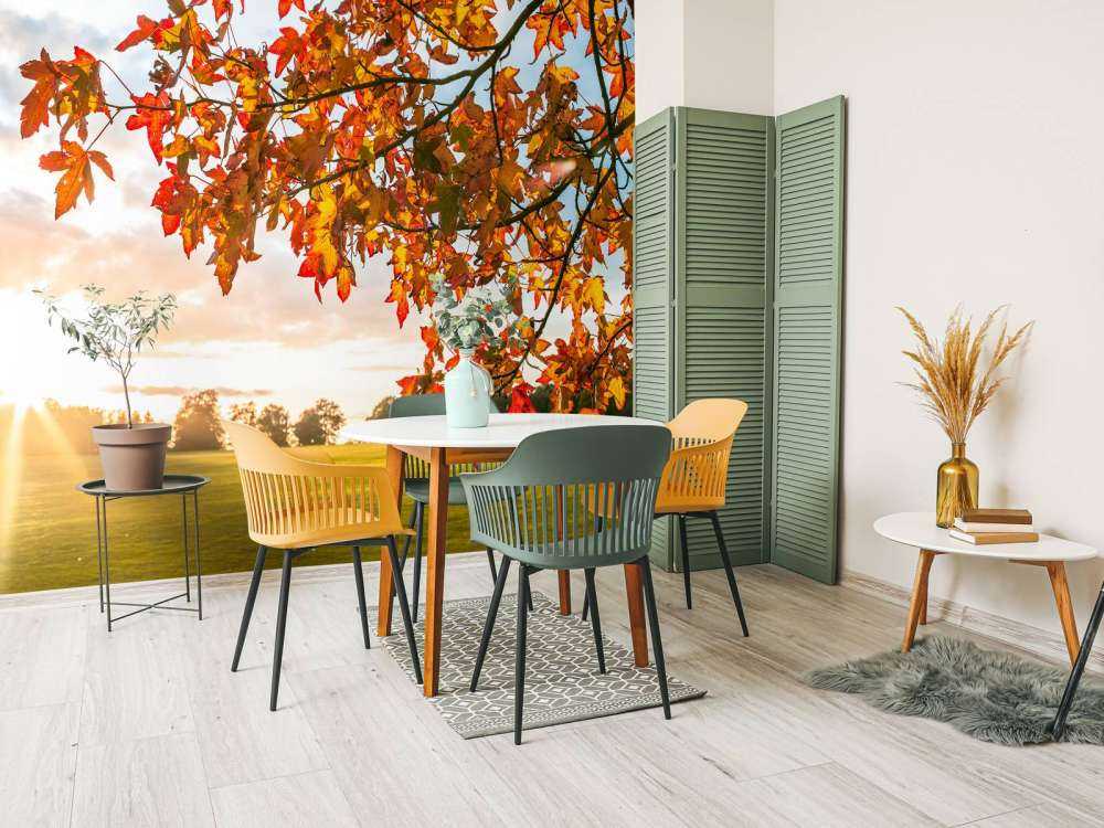 Albero d'autunno al tramonto