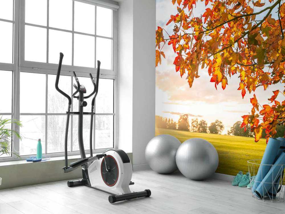 Albero d'autunno al tramonto