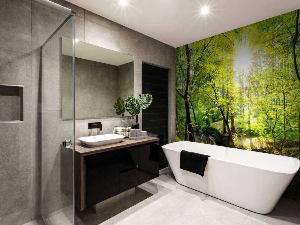 Foresta con un ruscello