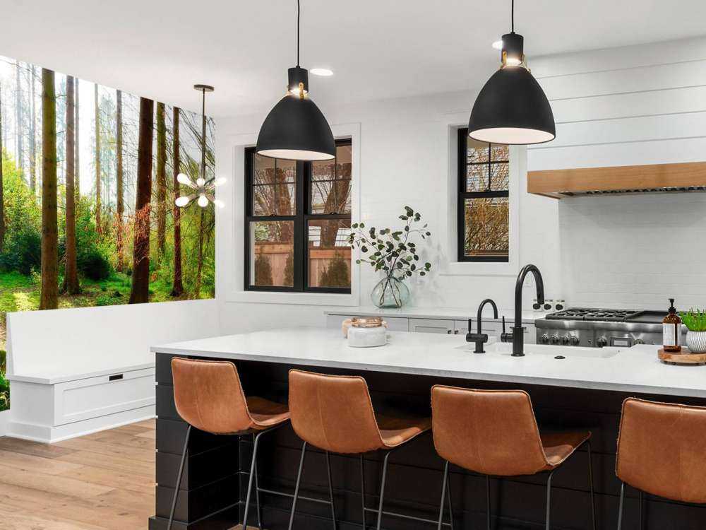 Foresta autunnale con luce solare brillante