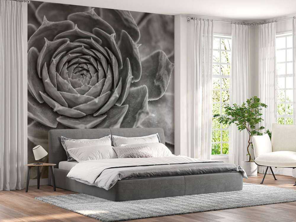 Succulento primo piano