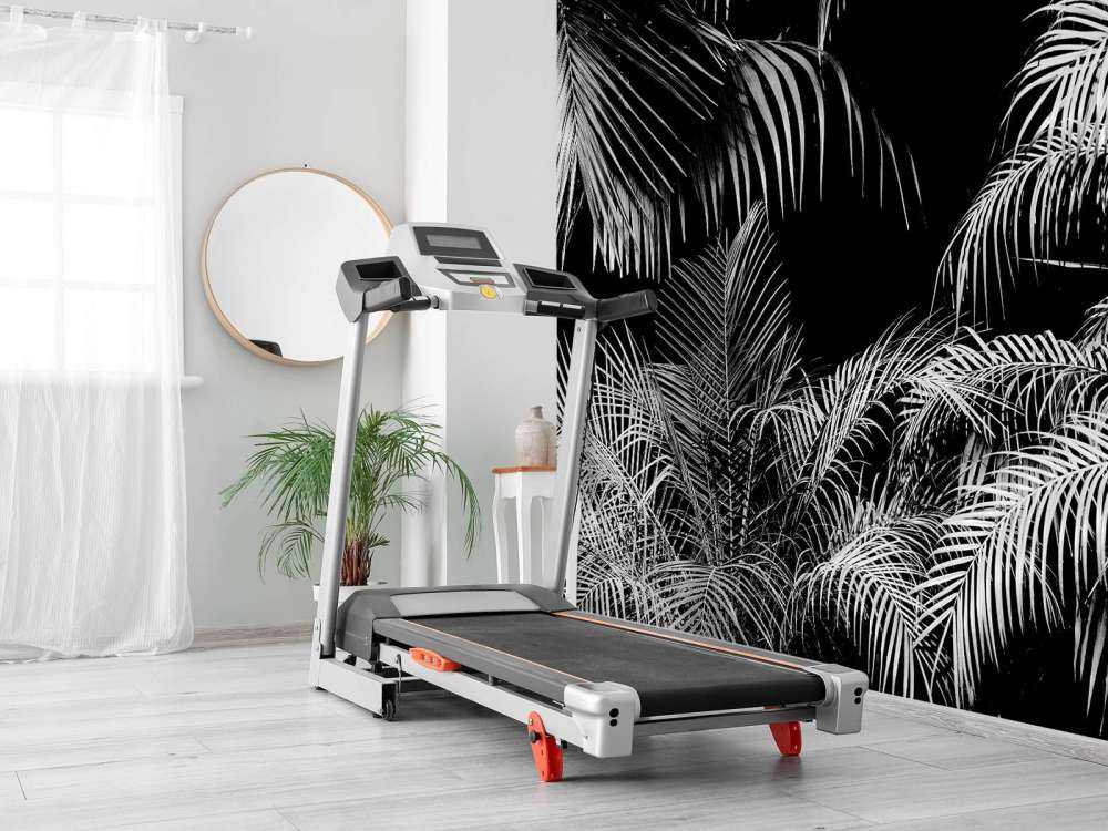 Pianta con foglie bianche