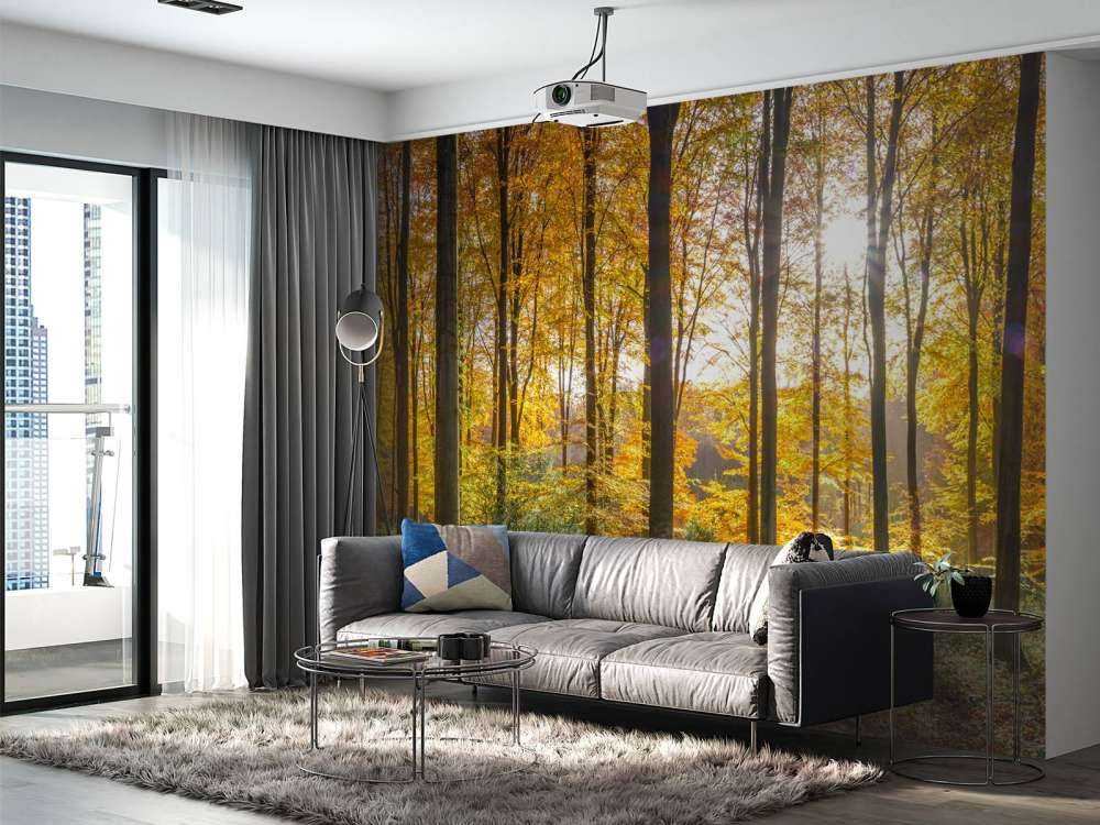 Giornata di sole autunnale