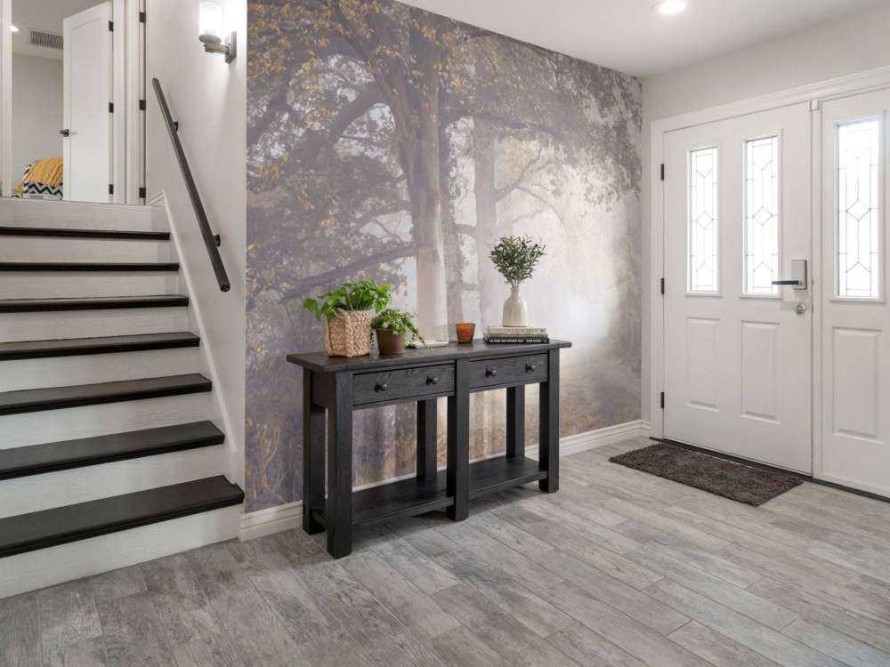 Strada nebbiosa con alberi