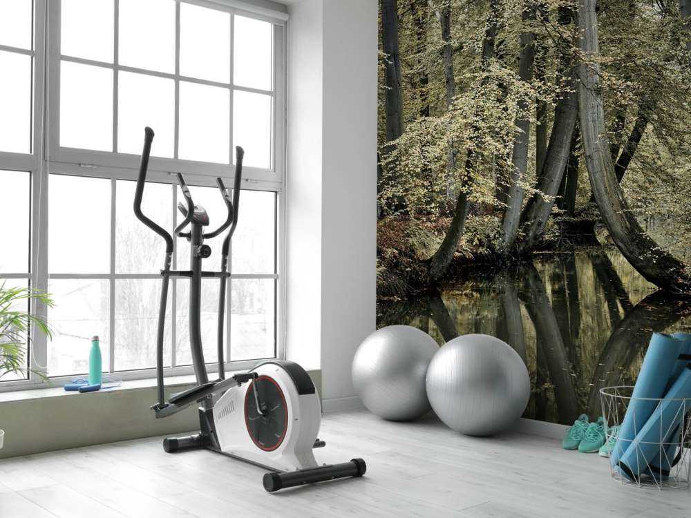 Ruscello con alberi sospesi