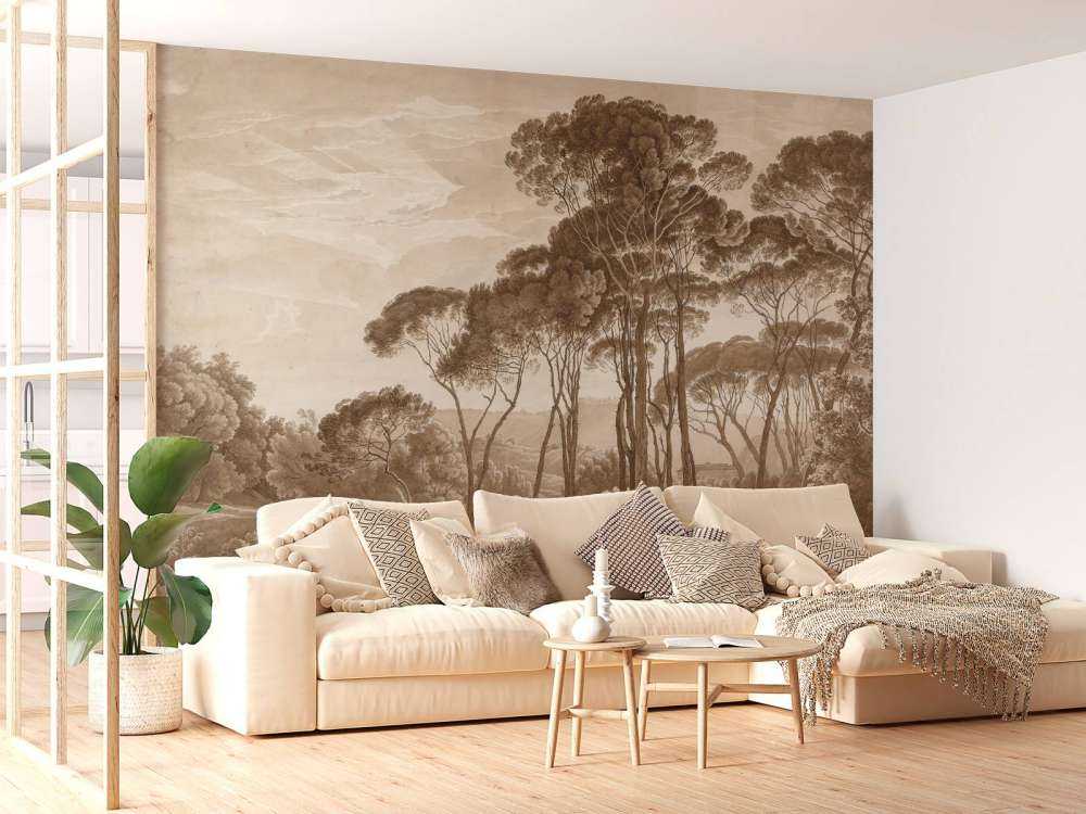 Paesaggio forestale vicino a Roma con il sole al tramonto