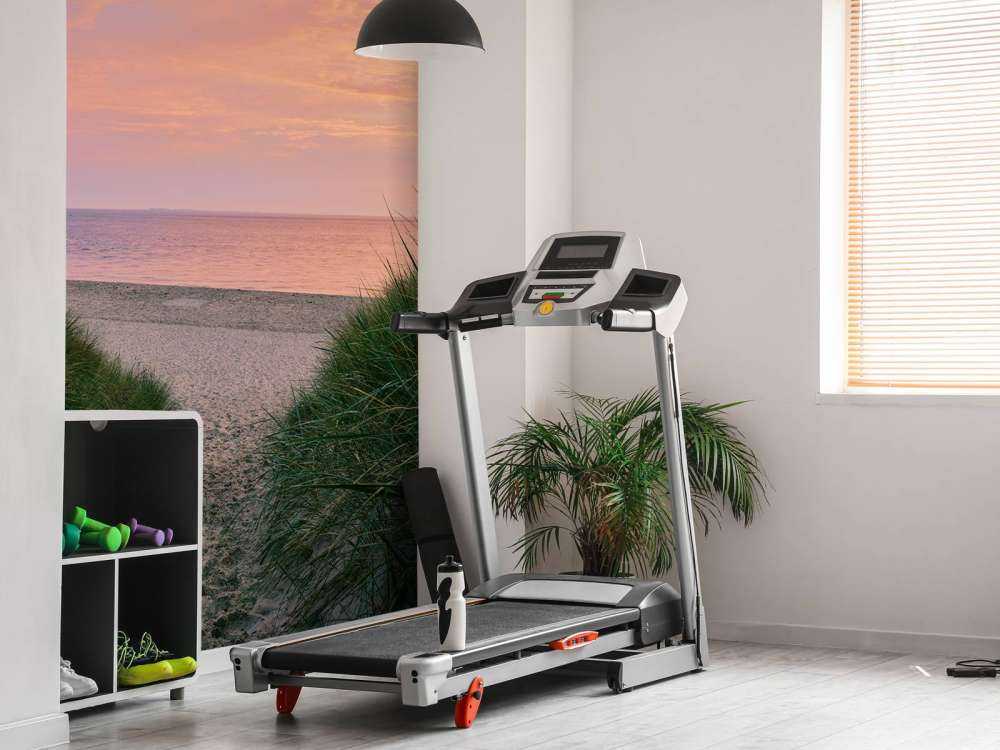 Passaggio della duna con l'alba