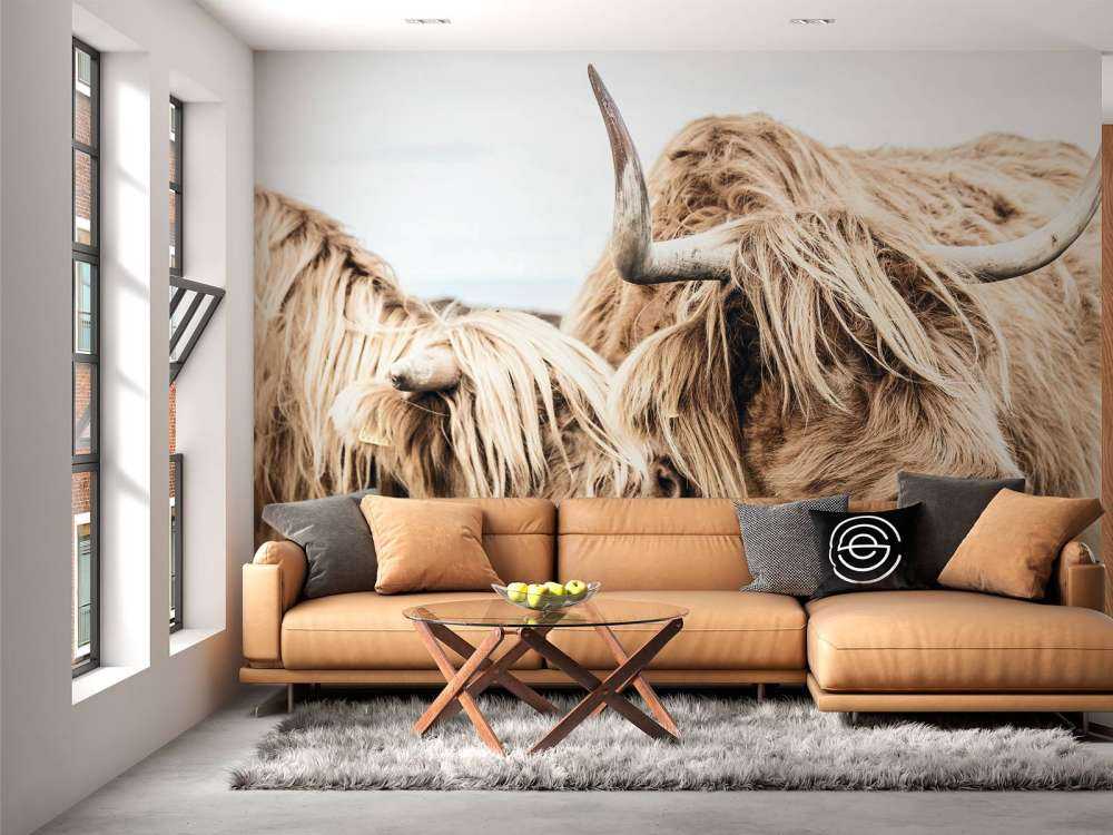 Due Highlander scozzesi