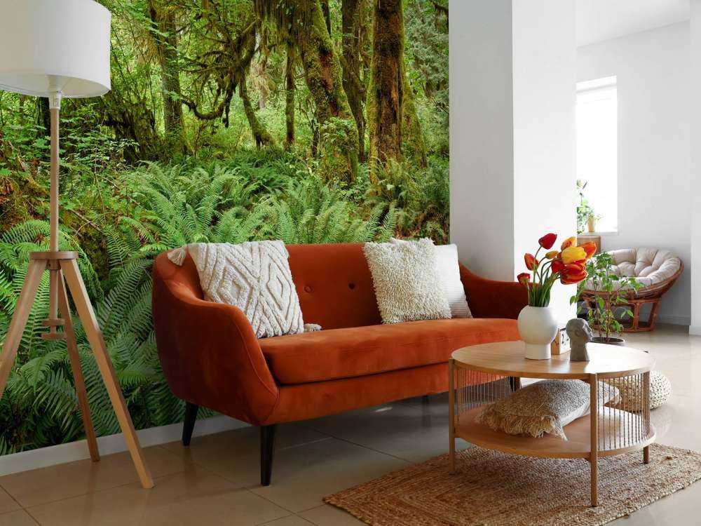 Felci in un vecchio bosco