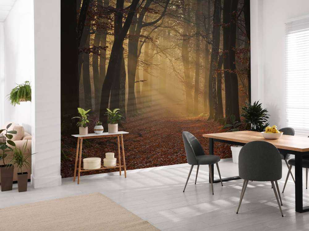 Misteriosa foresta d'autunno