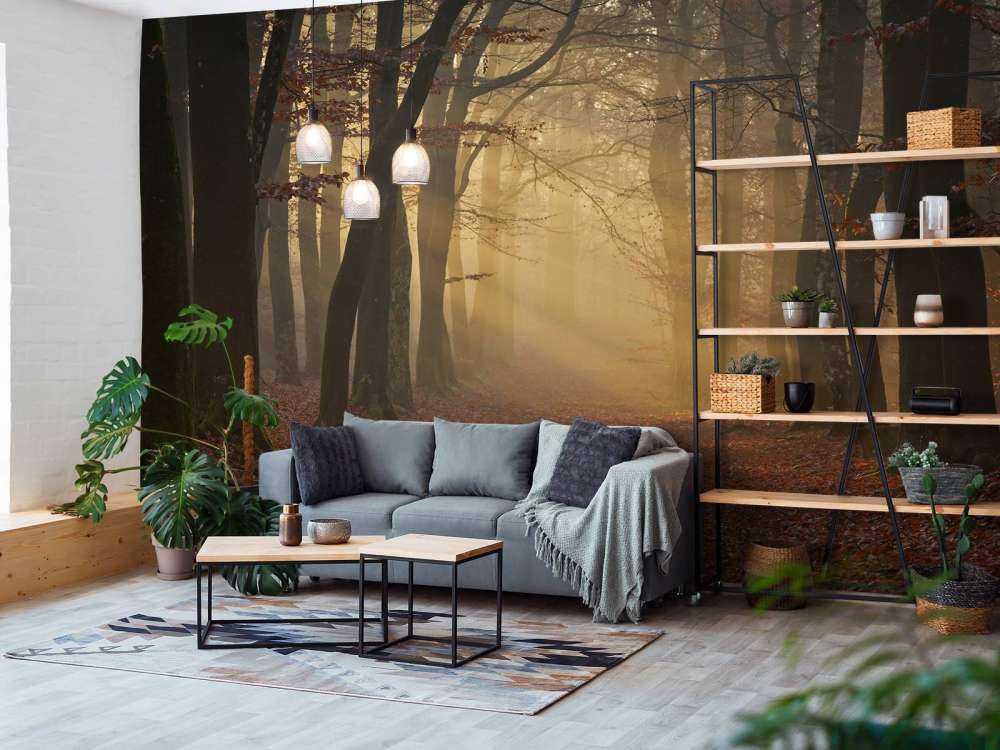 Misteriosa foresta d'autunno