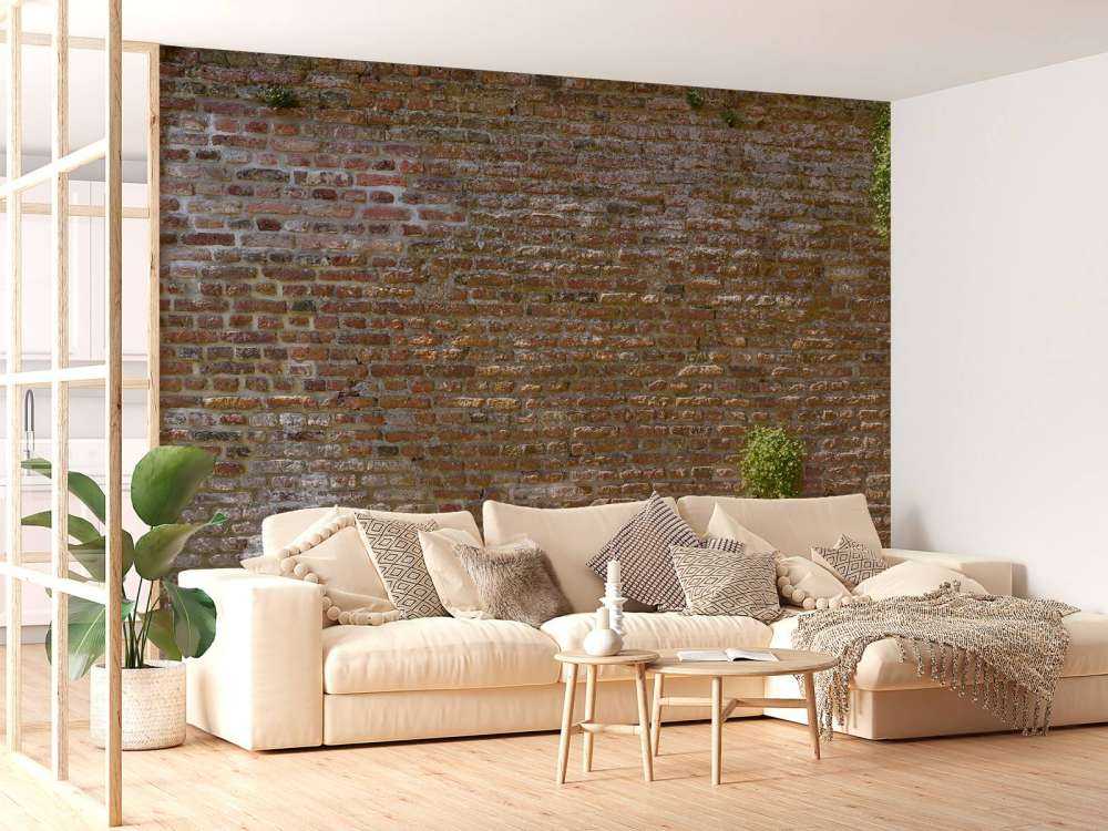 Vecchio muro di cinta in pietra con piante