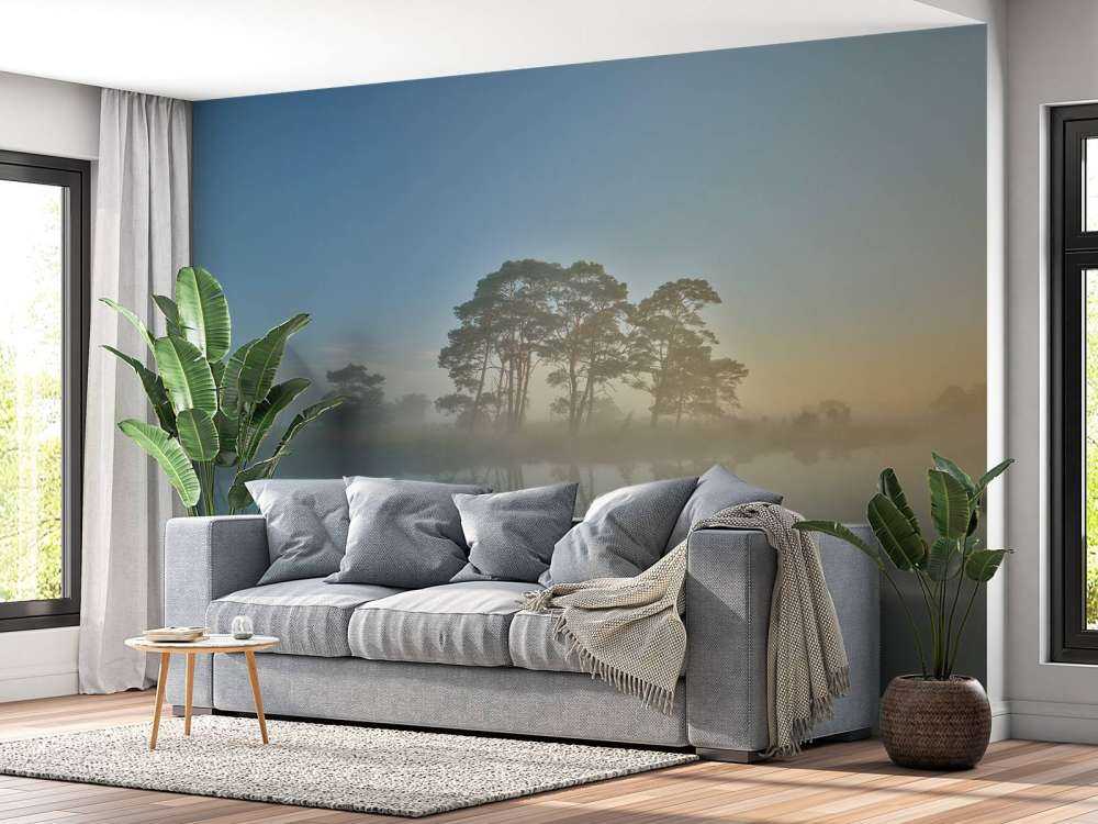 Nebbia nella brughiera