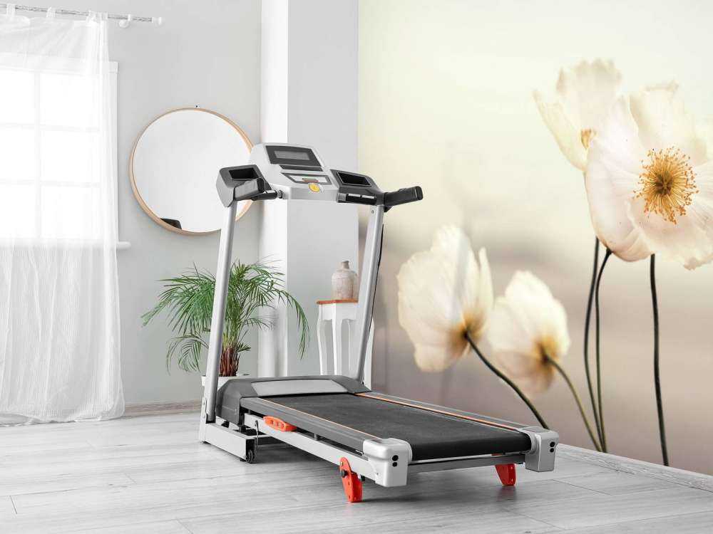 Papaveri bianchi in primo piano