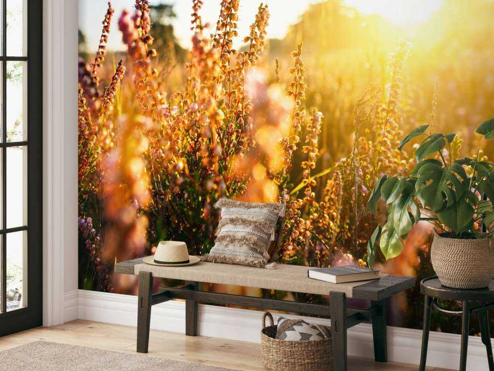 Impianto di erica da vicino