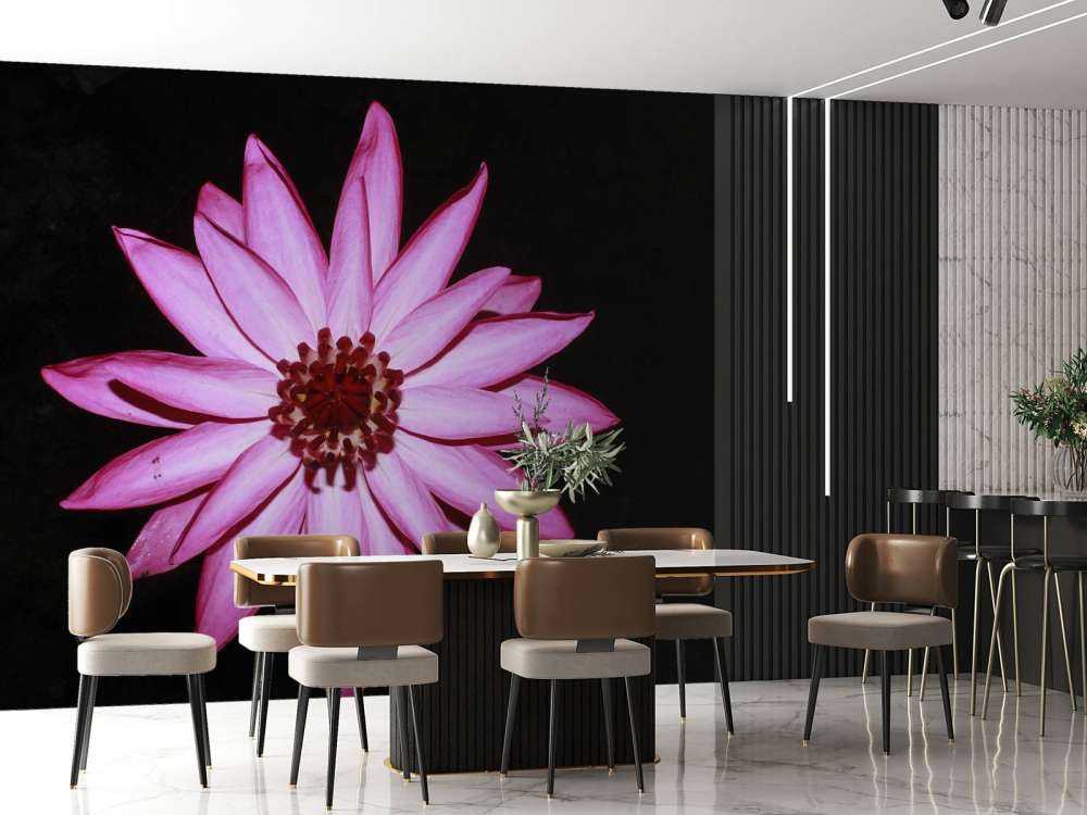 Fiore di loto dall'alto