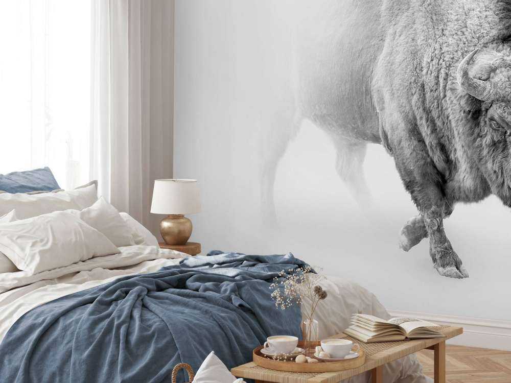 Bisonte bianco e nero