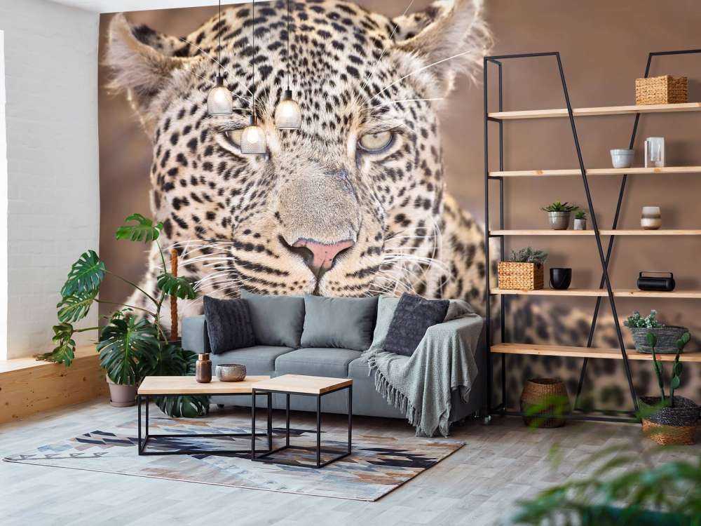 Ritratto di leopardo